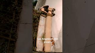 Los Angeles finest girls peeing into planter.