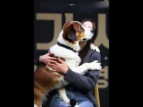 Chae Soo Bin Hugs The Dogs #Shorts