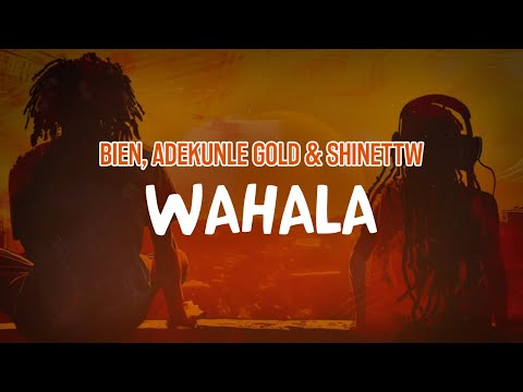 Bien, Adekunle Gold & ShineTTW - Wahala (Lyric Video)