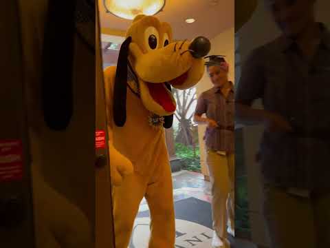 Pluto gets rained on and shakes off #disneycharacter #pluto #disneyaulani #dogshorts