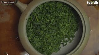 [Dennysodes S09E22] Haru-Sora ft Pu'dawan [Sencha Tea Tasting from Tezumi]