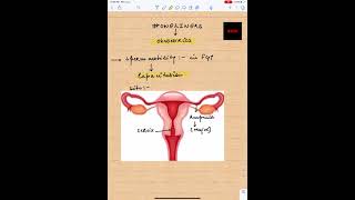 #Shorts | Obstetrics | NEET/NEXT PG/FMGE | ONELINERS | Sperm Capacitation