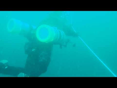 01142023 Underwater cruise around the 4 sets steel artificial reef-Gabriela