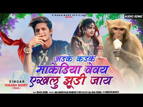 //🙉अडके कड़के माकेडिया🙉//Adke kadke makediya//Full song//New Dhamakedar Timli//Singer Vikas Tiger 😎