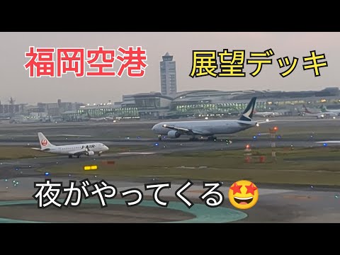 [Fukuoka Airport] The observation deck from evening to night is the best🤩⑩-3