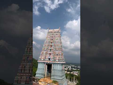 #shorts கந்த சஷ்டி Sasti viradham /Thiruthani MuruganTemple /Arupadai Veedu Temples #murugan #sasti