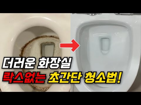 청소업체 사장님이 전수해 준 화장실 청소 비법. 이렇게 하면 세균 번식을 막아줍니다.  #꿀팁 #생활꿀팁 #간편청소 #화장실냄새 #화장실청소 #구연산 #과탄산소다