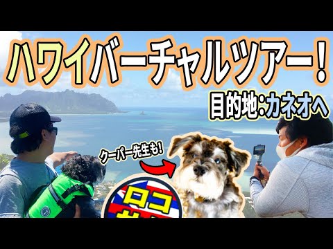 「ハワイの今を生配信！」1月30日カネオヘぶらり旅