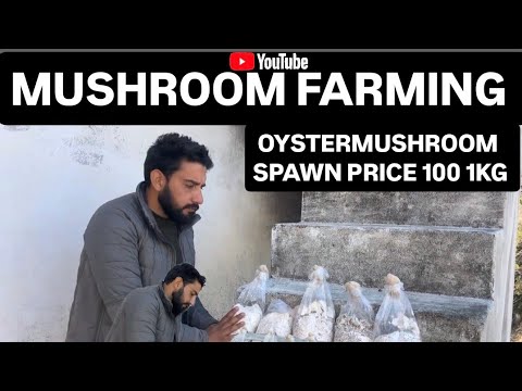 Mushroom farming Business in India | Oyster mushroom spawn unboxing |