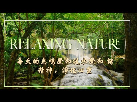 早上最适合听的轻音乐🍀 美妙的音樂 - 純鋼琴輕音樂 🍀 轻松的钢琴音乐 - 放鬆音樂 🍀 輕柔音樂打開我美好的早晨 🍀 Amazing Relax - 放鬆音樂