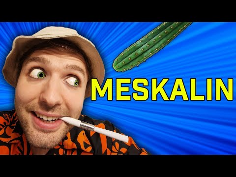 Meskalin Test - Warum du es niemals nehmen wirst!