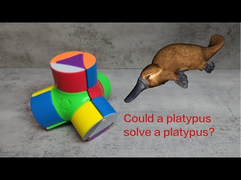 [155] Solving the Platypus Cube