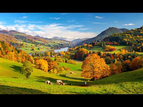 🍁🍂 Switzerland in Autumn 🇨🇭 The Natural Beauty of the Swiss Toggenburg Valley