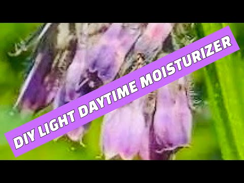 DIY LIGHT DAYTIME MOISTURIZER