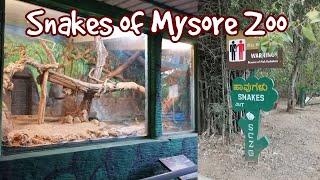 Snakes of Mysore Zoo, India | Indian Mom Space