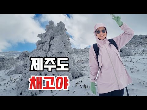 제주 첫눈 한라산가기🏔🏔❄️❄️💙💙