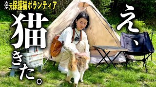 【女子キャンプ】１年ぶりにソロキャン行ったら、置き去りにされた猫と出会いました。