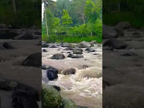 The sound of river water for healing #nature #riversounds #soothingsound #relaxing #shorts #asmr