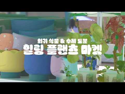 [힐링 플랜츠 마켓] 희귀 식물 & 수제 토분 플리마켓