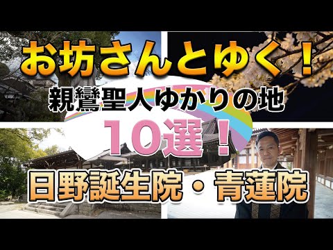 お坊さんとゆく！親鸞聖人ゆかりの地１０選！その１～日野誕生院・青蓮院～