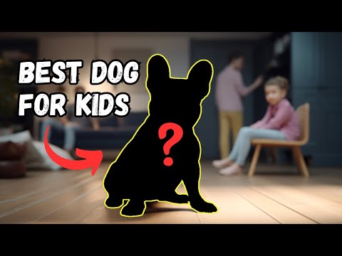 15 Best Dog Breeds for Kids (#1 factor parents MUST know)