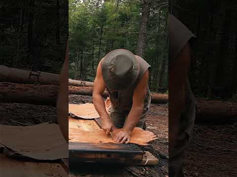 Making a Yakisugi Door for the Breezeway on my Log Cabin #shorts