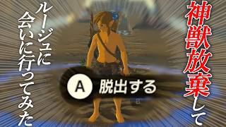 ルージュごめん！いったん帰る！【ゼルダの伝説 ブレスオブザワイルド】#85