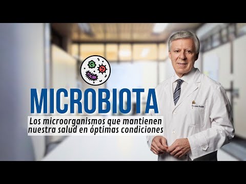 MICROBIOTA: LOS MICROORGANISMOS QUE MANTIENEN NUESTRA SALUD EN ÓPTIMAS CONDICIONES