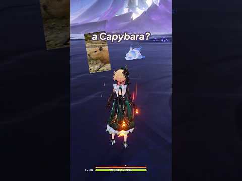 THIS BOSS HAS 5 MILLION HP | Genshin Capybara Boss