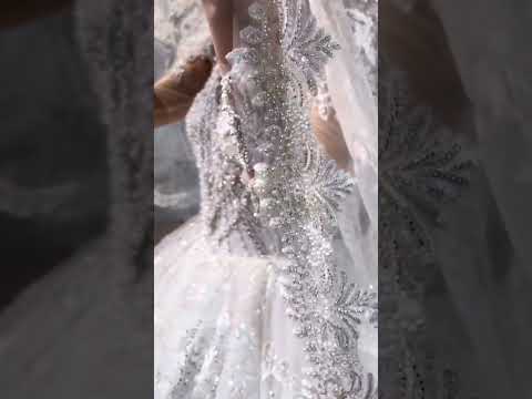 2024 Amanda Novias wedding dress cathedral veil