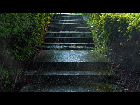 🔴【真實雨聲】聆聽階梯上的細雨聲10小時深度睡眠！自然白噪音雨聲催眠，放鬆減壓助眠，ptsd，asmr