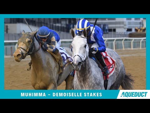 Muhimma - 2024 - Demoiselle