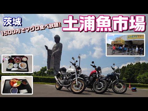 【#136】1500円でマグロ食べ放題‼「土浦魚市場」で朝食！【Rebel500＆GB350＆VTR】