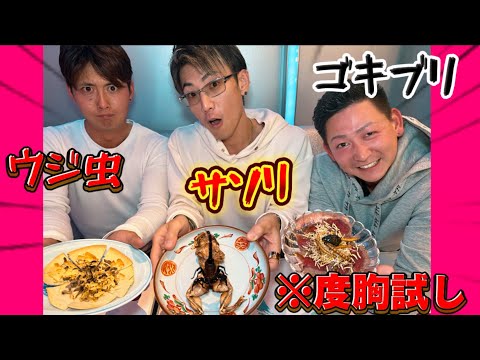 【※虫食べます🪳】⚠️閲覧注意⚠️職人の度胸試し‼️🕷️