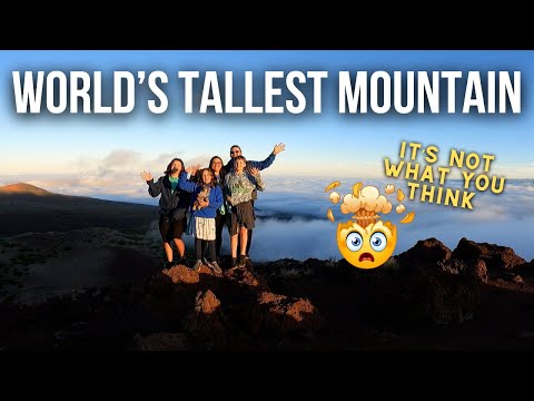 Travel Nurse Family discovers the Worlds Tallest Mountain...is in Hawaii?!