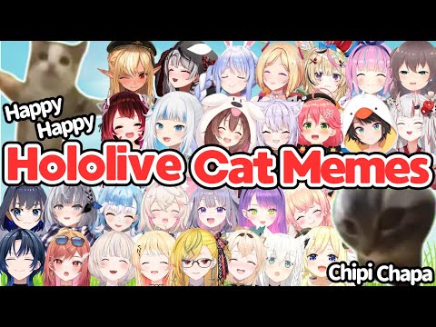 Hololive JP, ID, EN Cat Memes Compilation