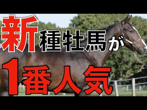 加熱するダートトレンド！JBBAの1番人気はあの新種牡馬。