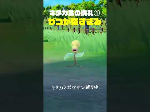 【切り抜き】ポケモンSV ゼロの秘宝 ザコが強すぎる説 #shorts #ゲーム実況