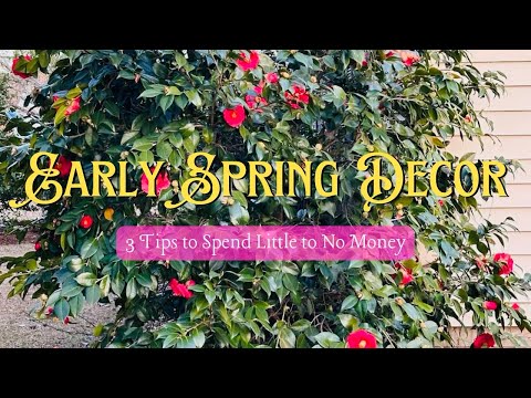 Early Spring Decor | Money Saving Tips 💸