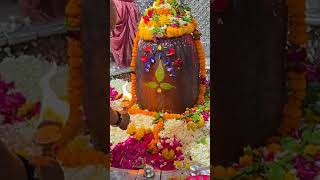 New Mahakal Status||Ujjain Mahakal Status||Mahadev status||By Mahakal status 2023