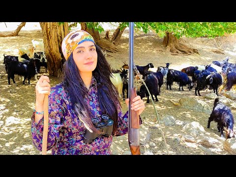 Morning to Evening Nomadic Life with shepherd girl | Village Lifestyle