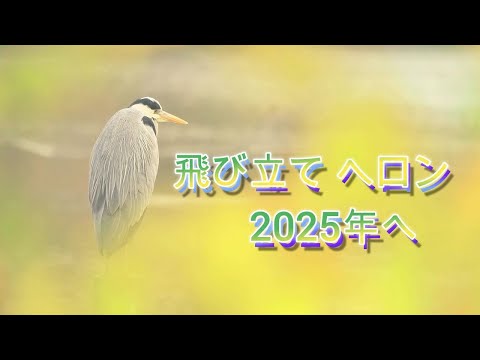 飛び立てヘロン 2025年へ 今年もご視聴コメントありがとうございました。