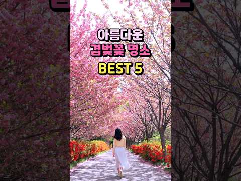 아름다운 겹벚꽃 명소 BEST 5 | 4월 여행지 추천,4월가볼만한곳,문수사,개심사,개심사 청벚꽃,각원사,불국사,국내 겹벚꽃 추천,국내겹벚꽃명소,겹벚꽃 나무,미사경정공원