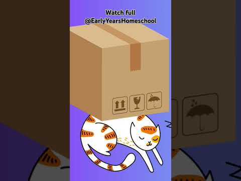 Learn Prepositions with a Fun Cat! | Prepositions for Kids | Guessing Game & Sentence Practice