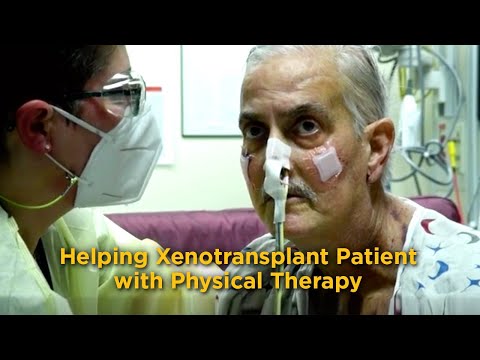 Physical Therapy Helps Pig Heart Transplant Patient David Bennett at the University of Maryland