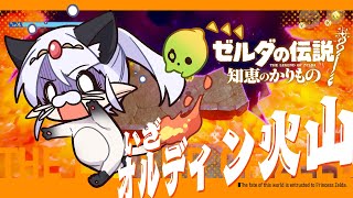 【ゲーム配信】年始めはオルディン火山で焼かれます#06【ゼルダの伝説~知恵のかりもの~】