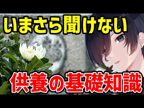 【 お盆 雑学 】その供養、祟られるかも…？仏教の供養を徹底解説【 民俗学 仏式 雑談 Vtuber 天道巳弧 】