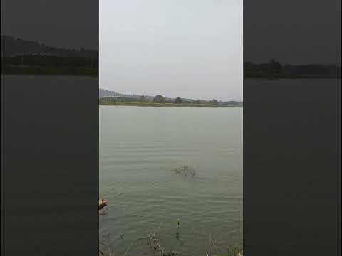 Dwarasamudra lake/Halebidu lake, Karnataka.