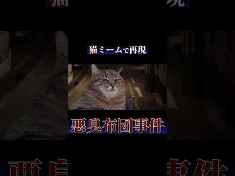 猫ミームでわかる『悪臭布団事件』#猫ミーム #猫マニ #2chホラー #shorts