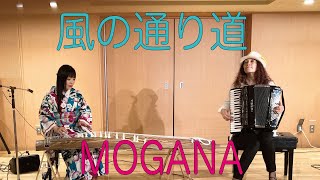 風の通り道　琴＆アコーディオンMOGANA（琴：大平光美　Accorddion：Miyack）